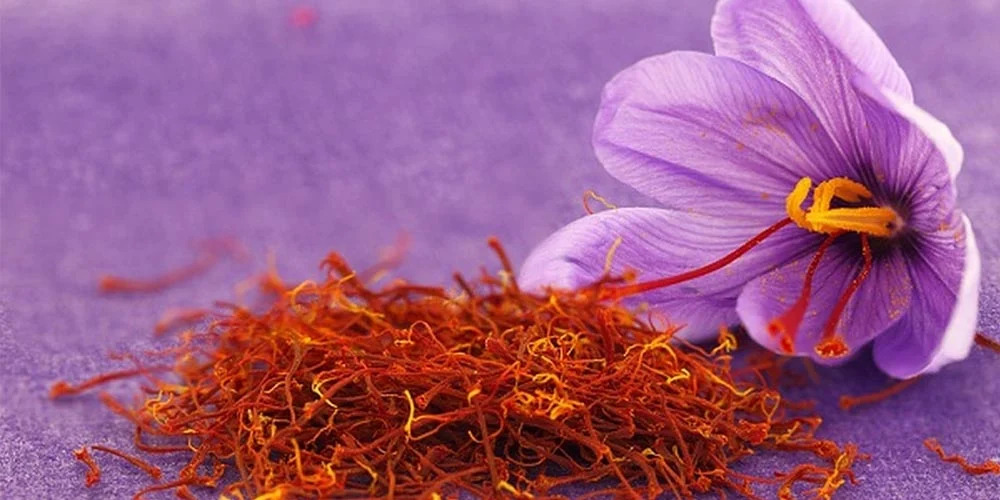Saffron Trading